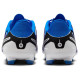 Nike Legend 10 Academy FG/MG